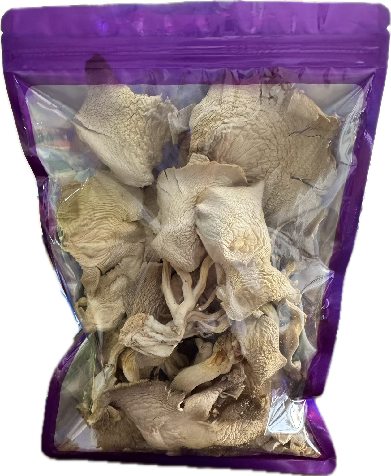 Dried Blue Oyster Mushrooms