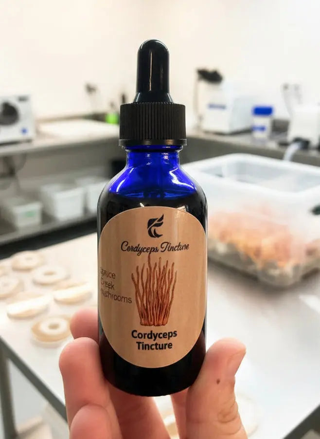 Cordyceps Mushroom Benefits: Natural Energy, Stamina, and Athletic Performance Spruce Creek Mushrooms