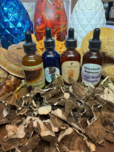 All-Natural Organic Mushroom Tinctures: Why Our Complete Bundle Is the Smartest Way to Shop Spruce Creek Mushrooms