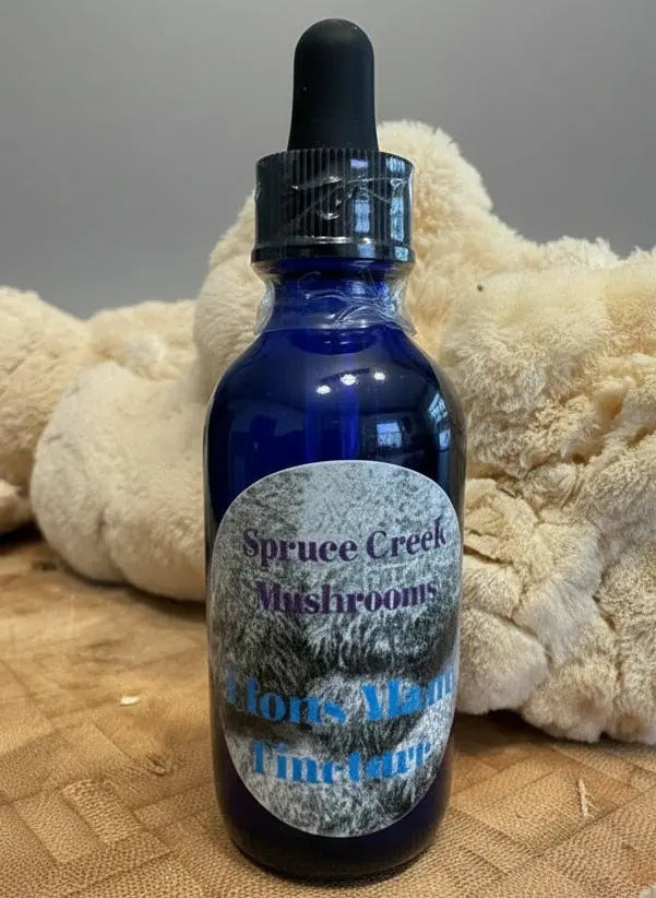 Lion's Mane Mushroom Benefits for Focus, Memory, and Brain Health Spruce Creek Mushrooms