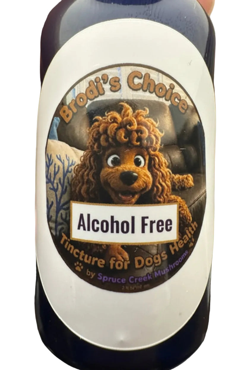Mushroom Tinctures for Dogs: Original and Alcohol-Free Options Spruce Creek Mushrooms