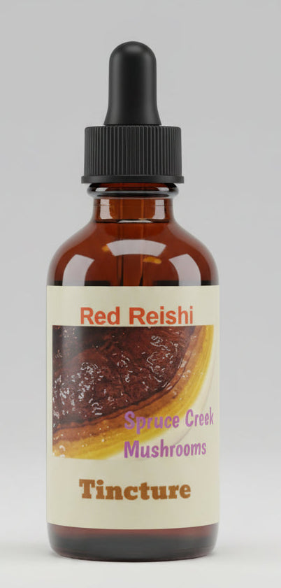 The Mushroom of Immortality: Why Reishi Has Been Revered for 2,000 Years Spruce Creek Mushrooms
