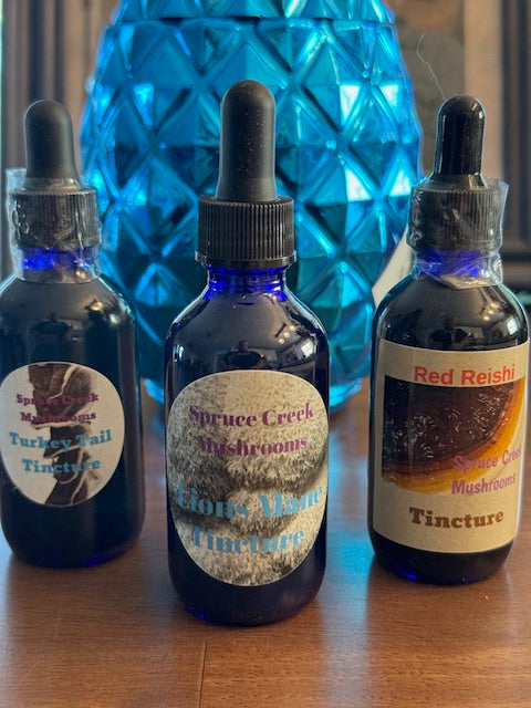 🌟 Exciting Shop Update from Spruce Creek Mushrooms! 🍄✨