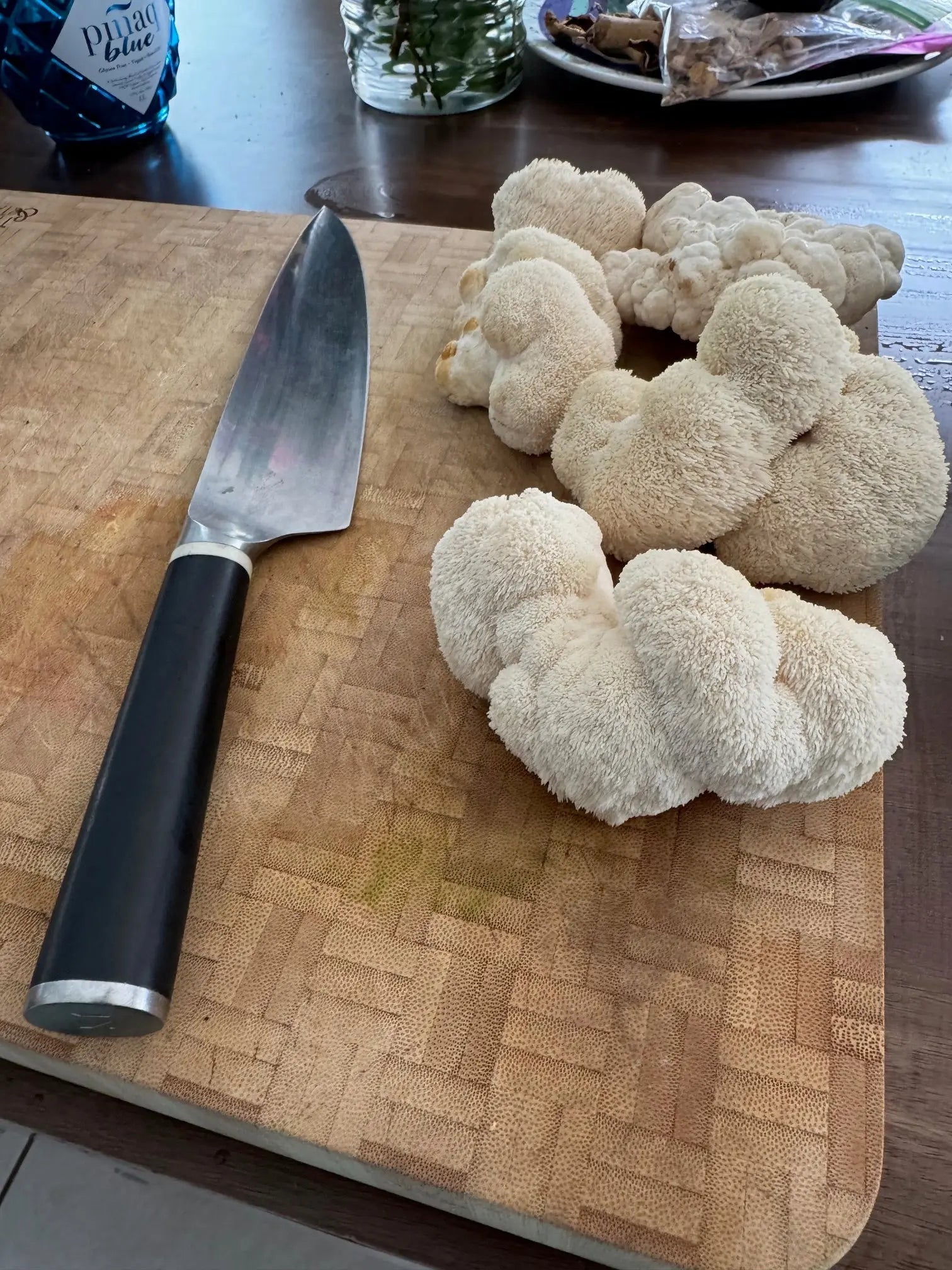 Welcome to the World of Fungi! Spruce Creek Mushrooms