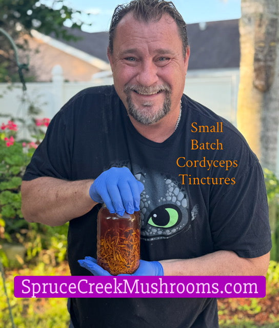 Florida Roots, Fungi, and My Journey Behind Spruce Creek Mushrooms Spruce Creek Mushrooms