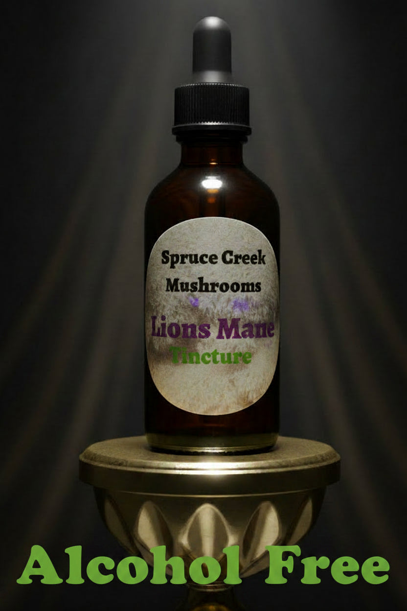 How to Take Mushroom Tinctures: A Guide For Beginners Spruce Creek Mushrooms