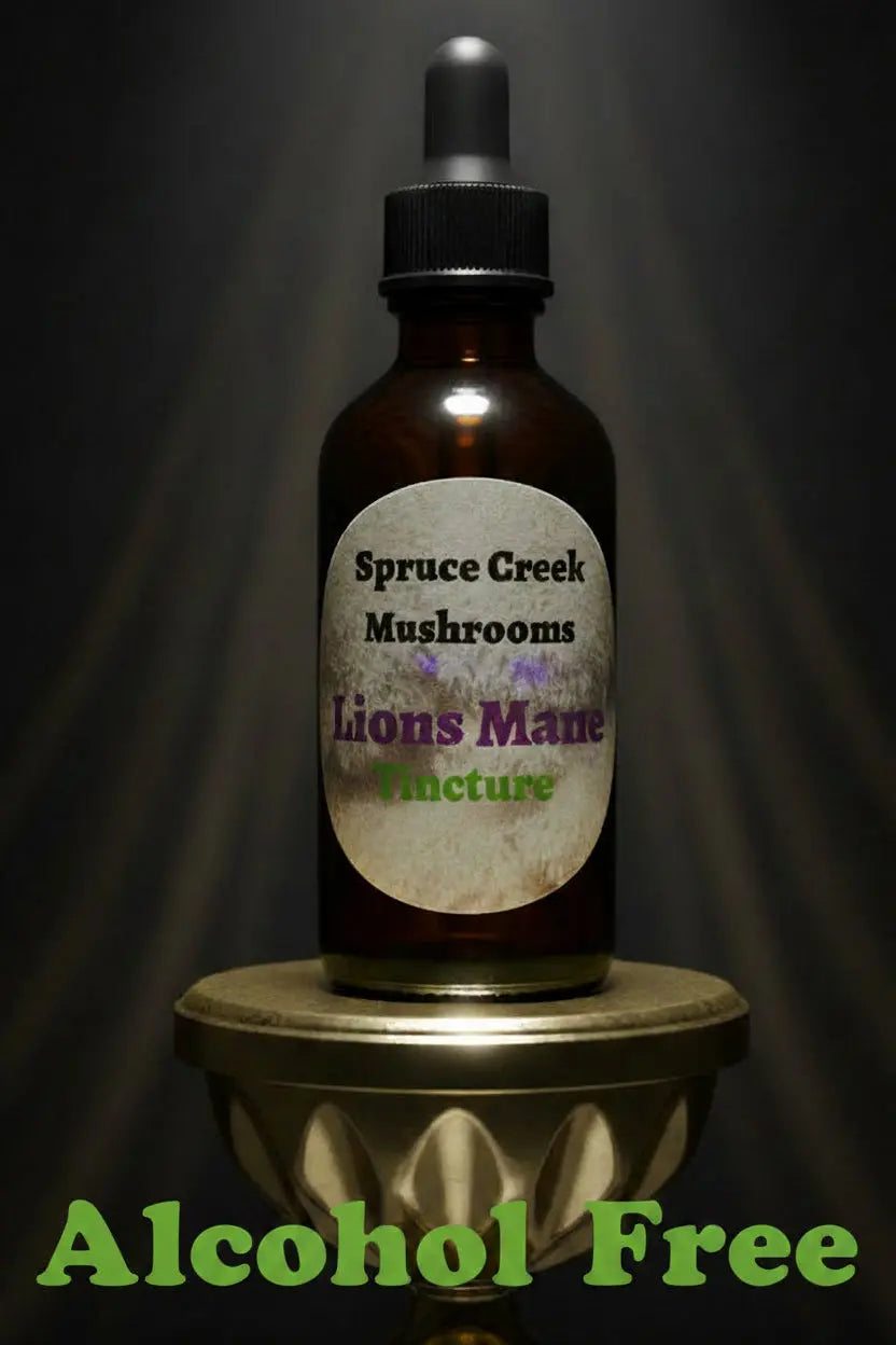 Introducing Alcohol Free Lions Mane Tincture Spruce Creek Mushrooms