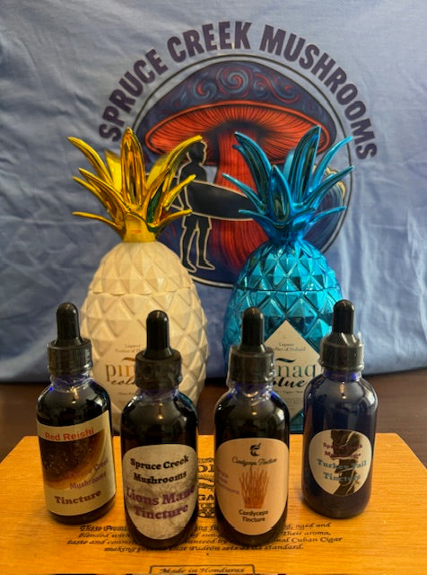 Functional Mushroom Tinctures