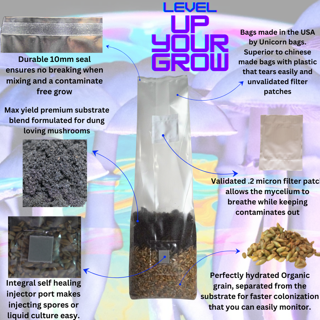Mushroom Grow Kit - 4 Pack - All In One Mushroom Grow Bags Mushroom Spawn Store