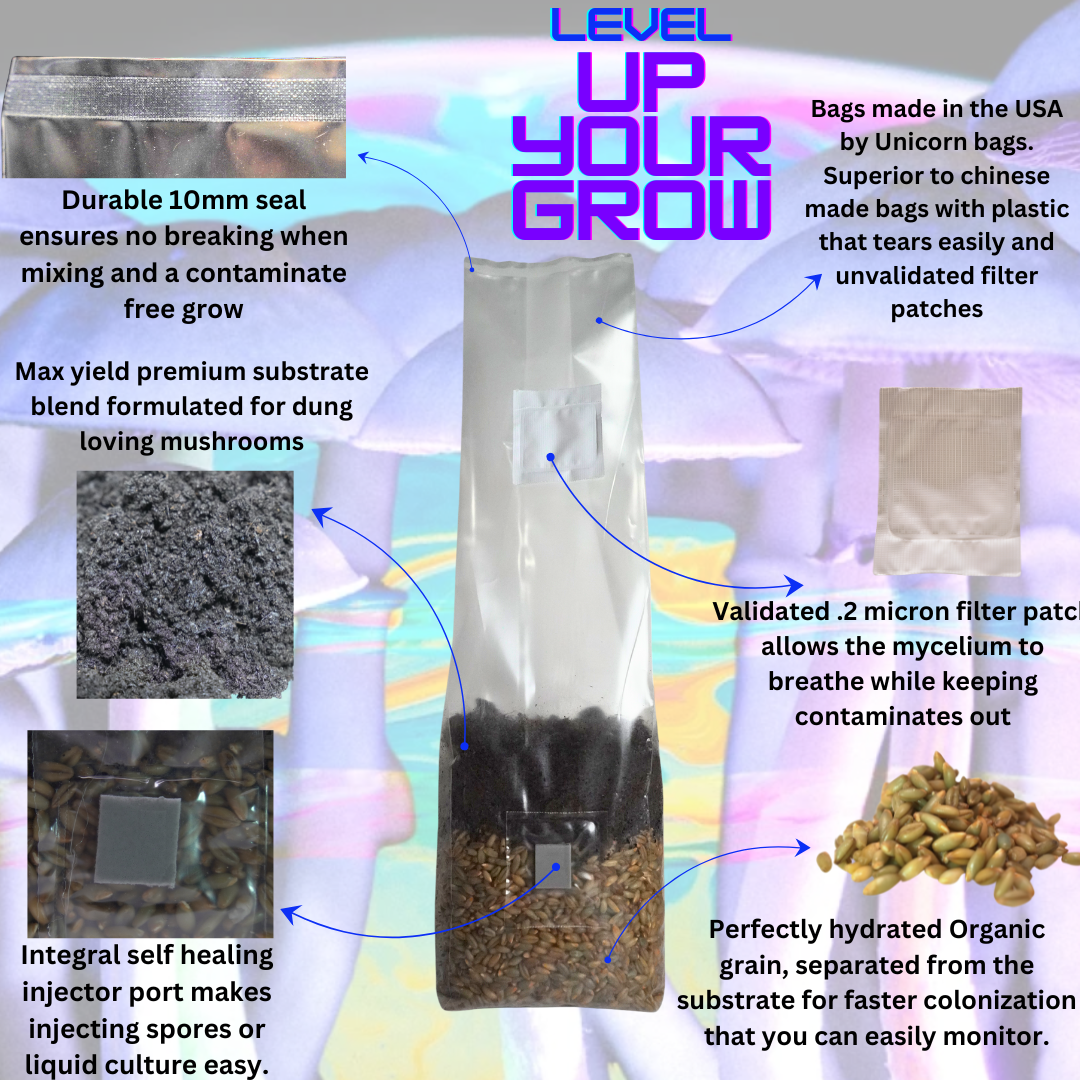 Mushroom Grow Kit - 4 Pack - All In One Mushroom Grow Bags Mushroom Spawn Store