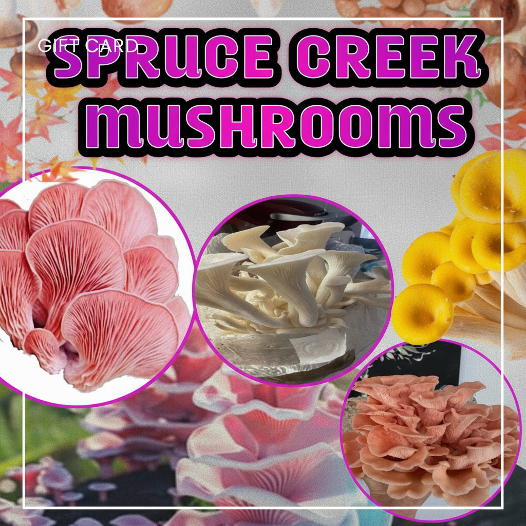Gift Cards for Mushroom & Tincture Enthusiasts