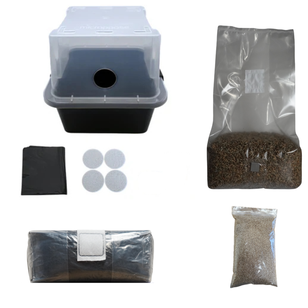 MonoTub Mushroom Grow Kit Mushroom Spawn Store