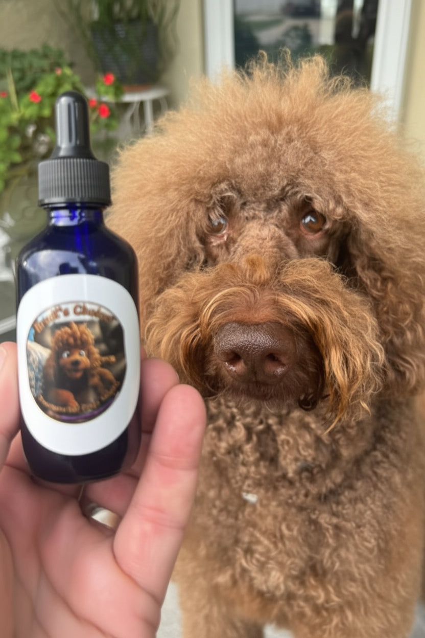 Dog Mushroom Tincture – Reishi & Turkey Tail Spruce Creek Mushrooms