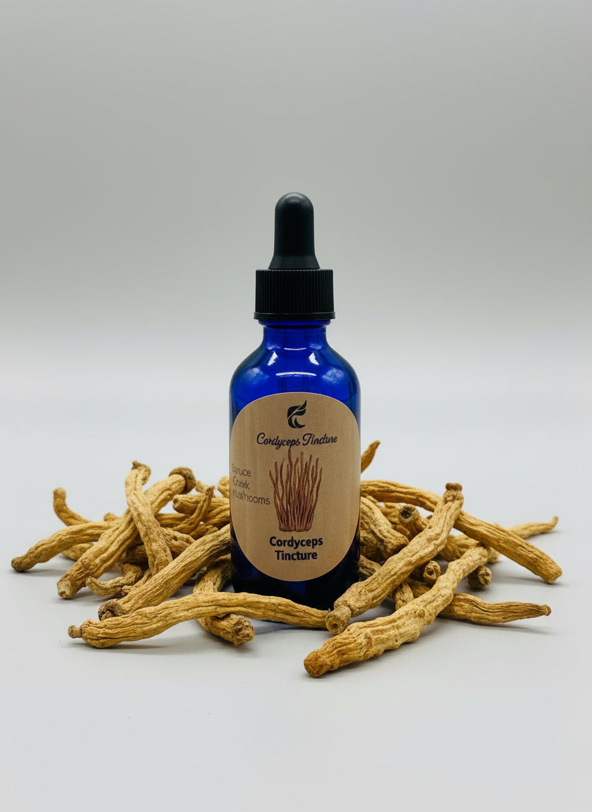 Cordyceps Premium Tincture