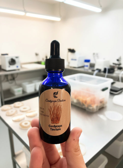 Cordyceps Premium Tincture