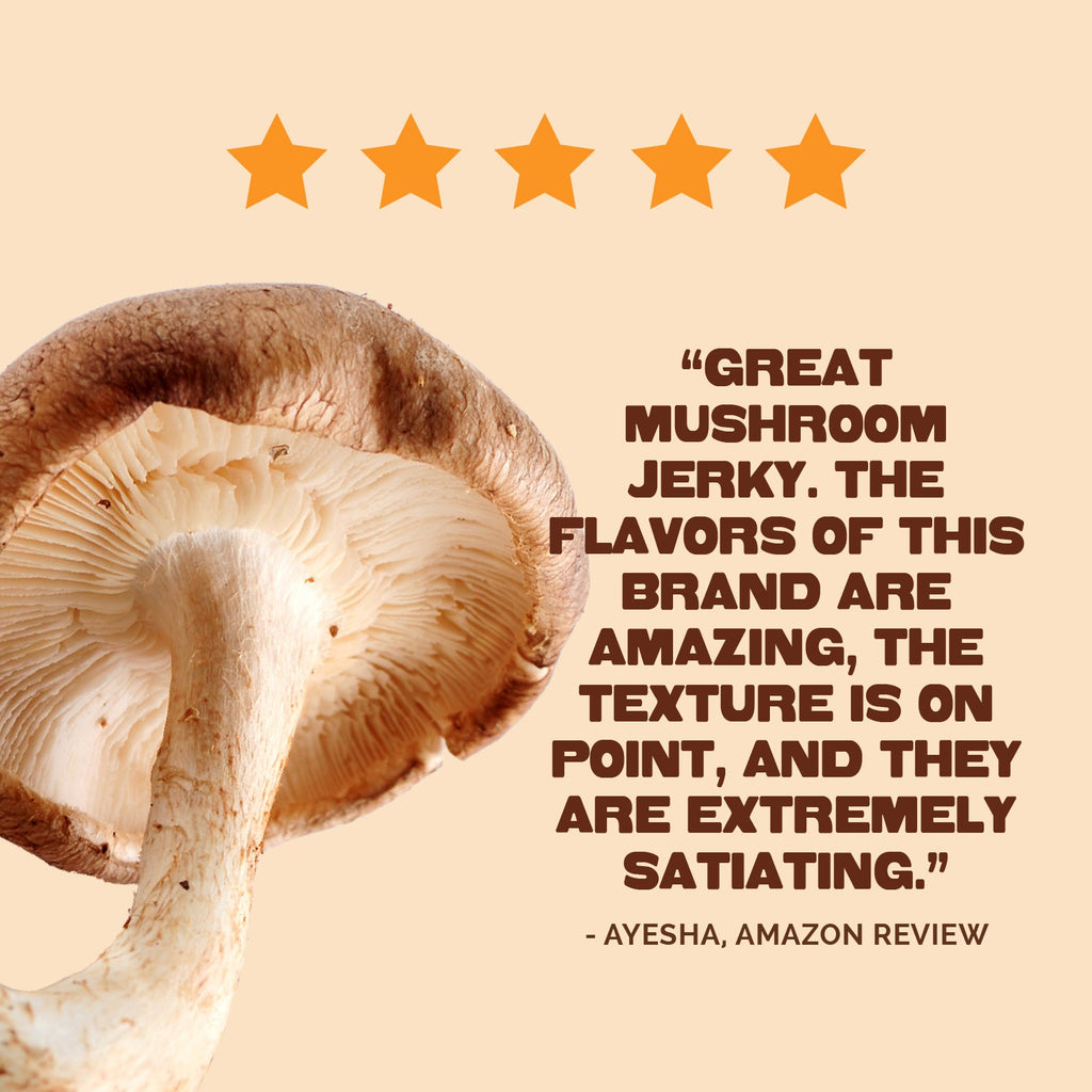 Pan's Mushroom Jerky - The Ultimate Flavor Pack Pan's Mushroom Jerky