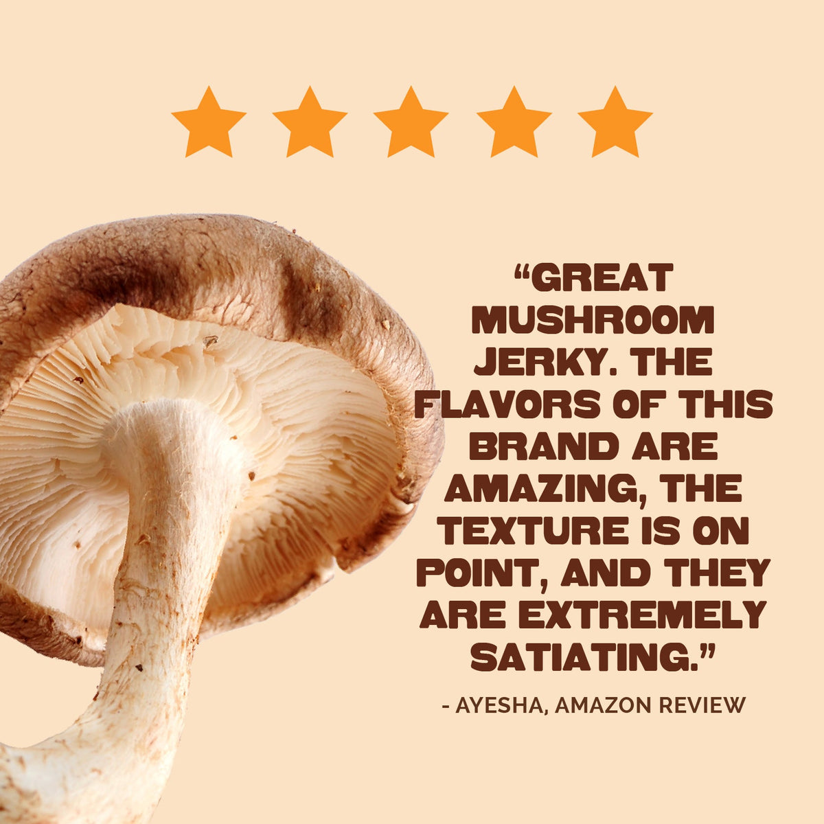 Pan's Mushroom Jerky - The Ultimate Flavor Pack Pan's Mushroom Jerky