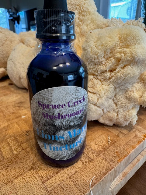 Lion’s Mane Dual Extraction Tincture – Premium Quality