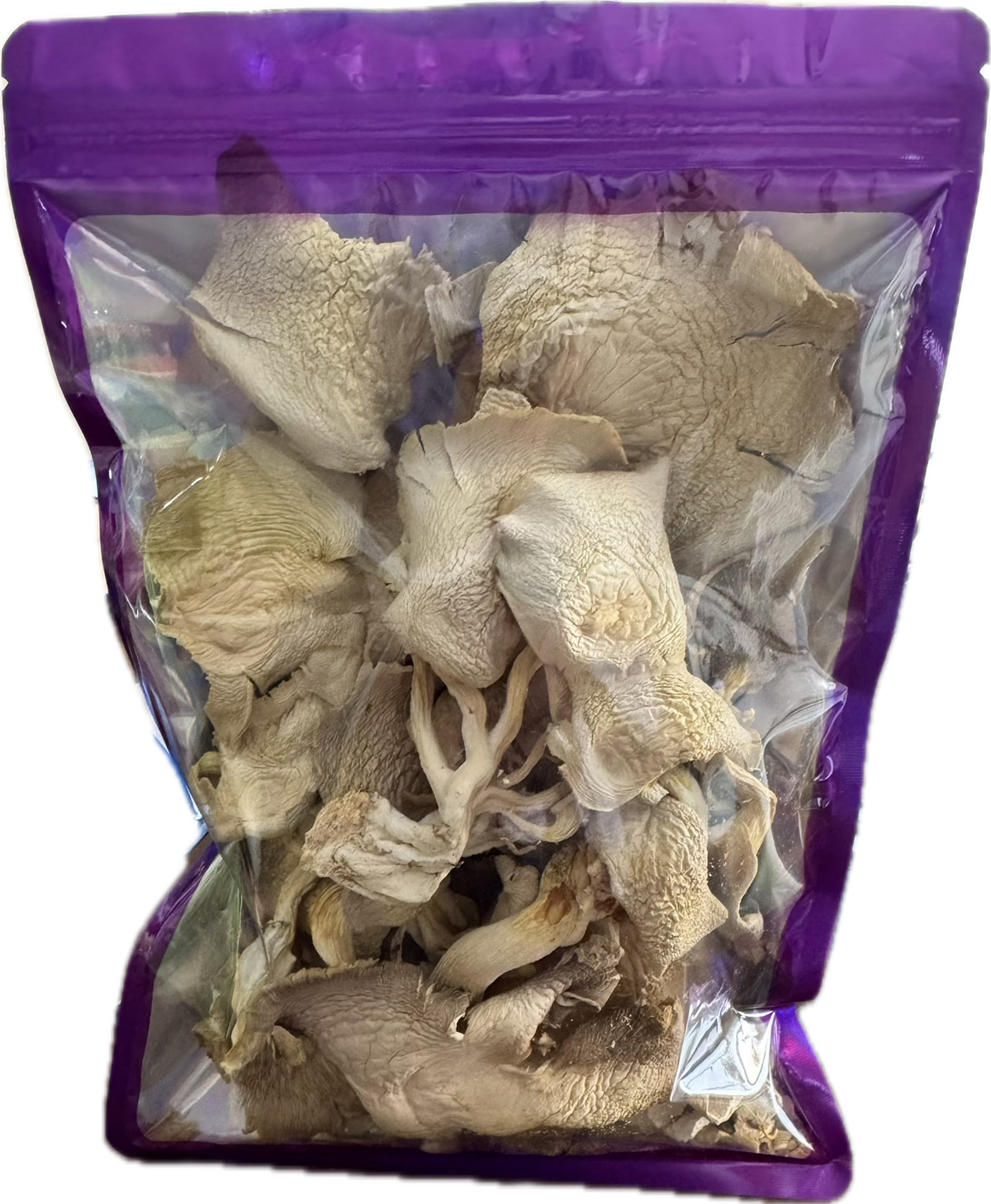Dried Blue Oyster Mushrooms