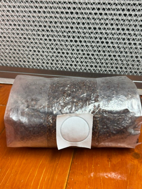 Sterilized Grain Bag for Mushroom Colonization Spruce Creek Mushrooms