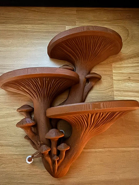 3D-Printed Mushroom Wall Shelf Spruce Creek Mushrooms