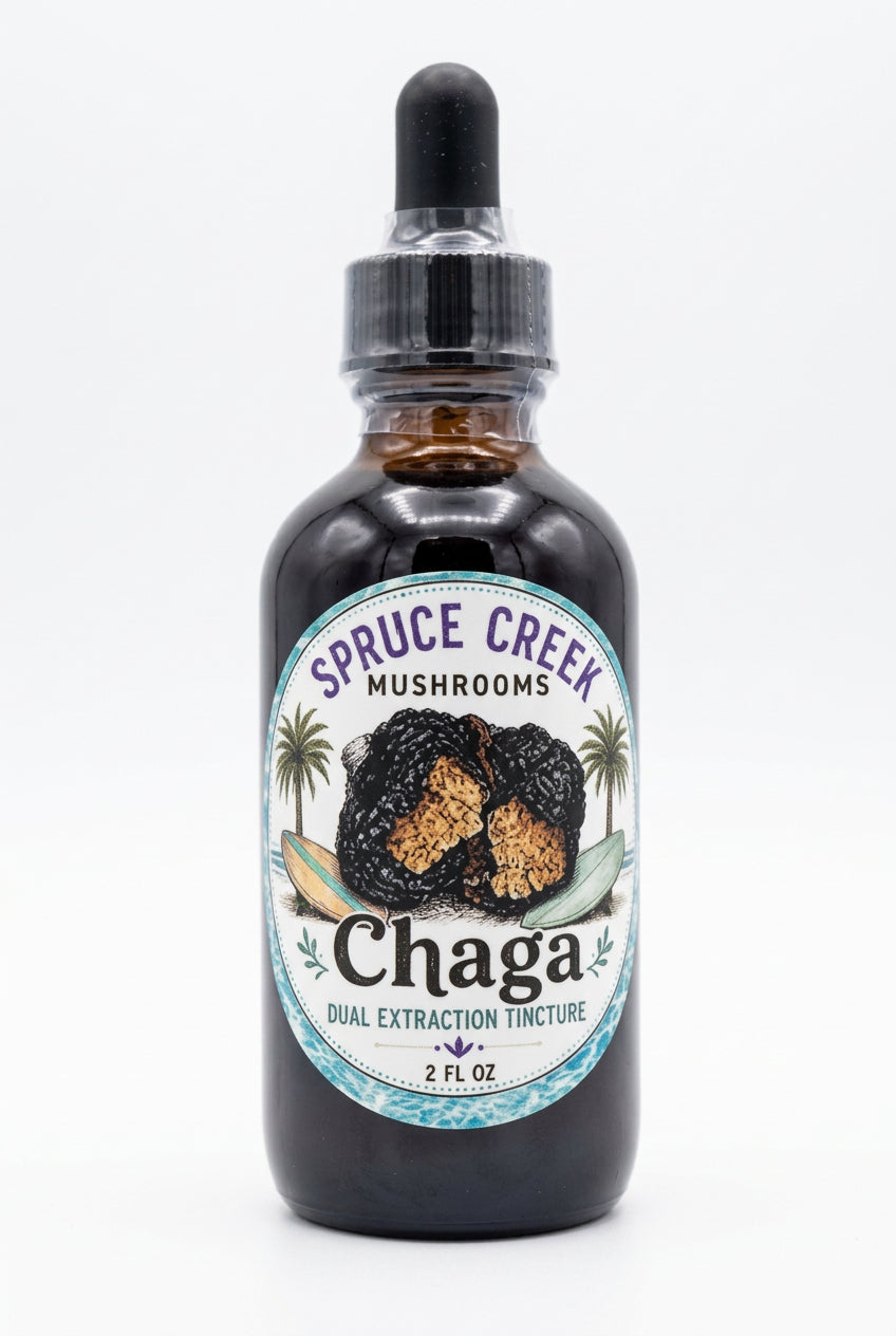Chaga Dual Extraction Tincture Spruce Creek Mushrooms