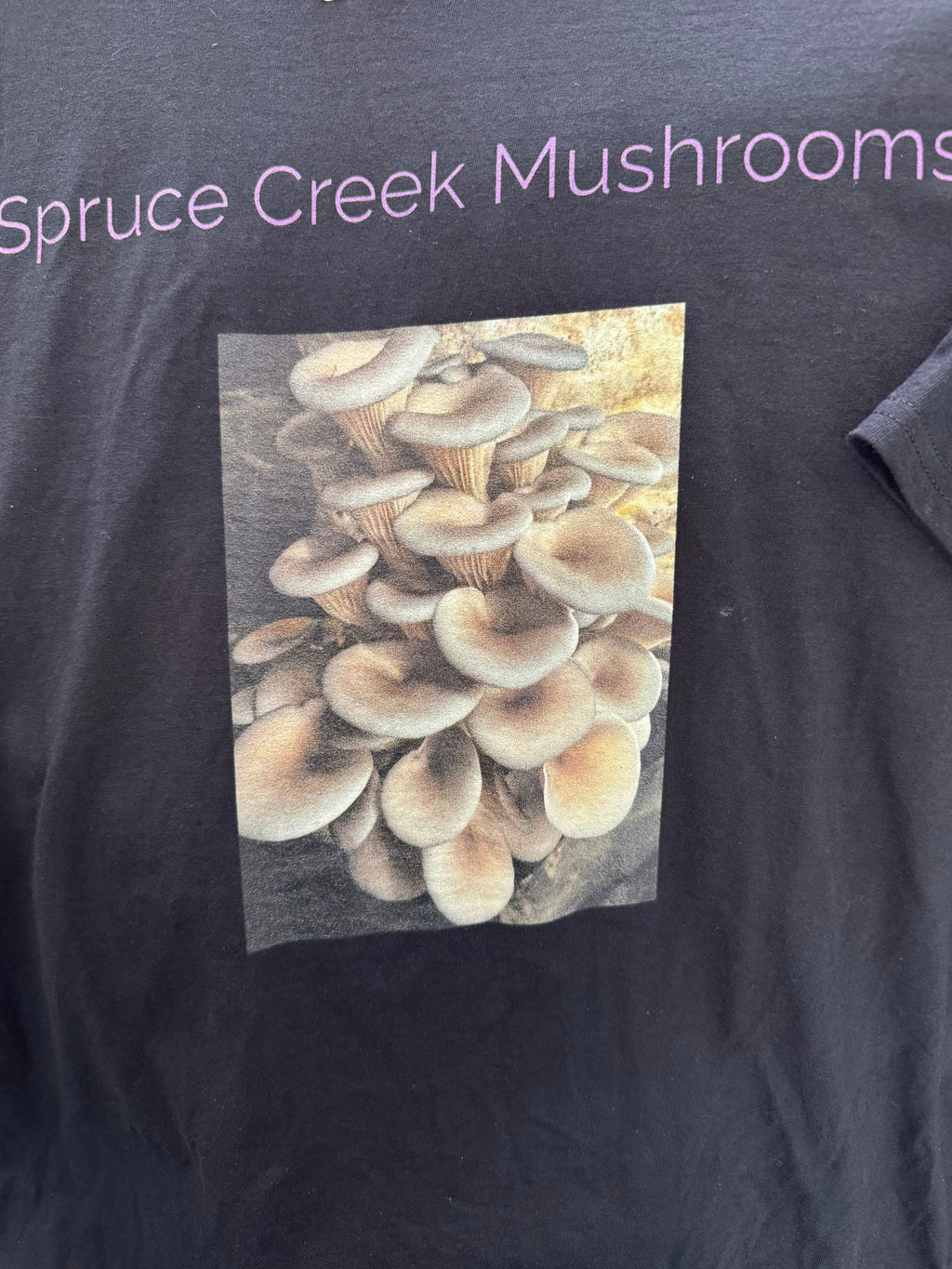 Blu Oyster Mushroom Short Sleeve Shirt