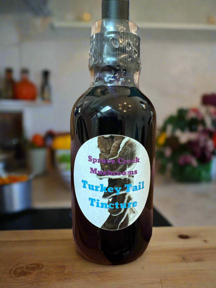 Turkey Tail Dual Extraction Tincture - Premium Quality