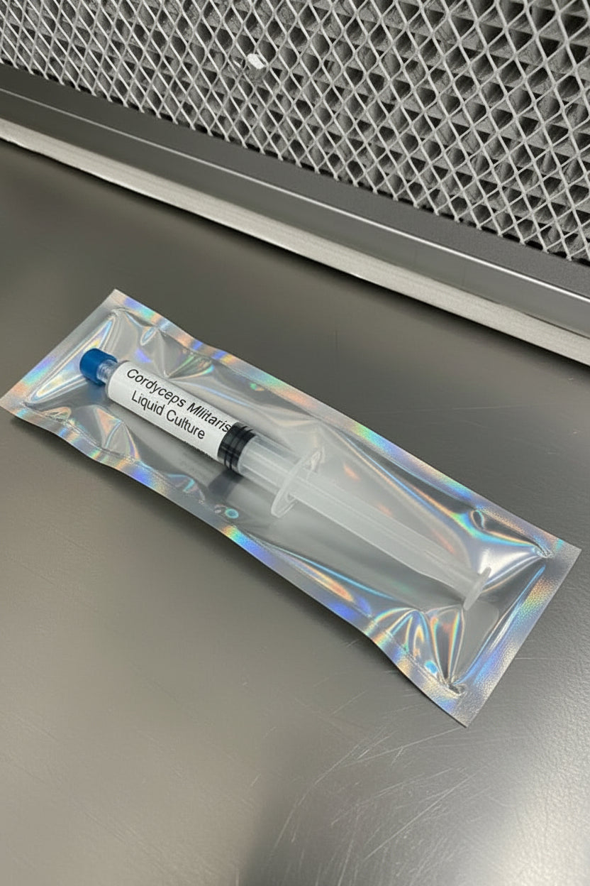Cordyceps Militaris Liquid Culture Syringe (10ml)