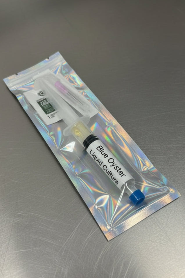 Blue Oyster Liquid Culture