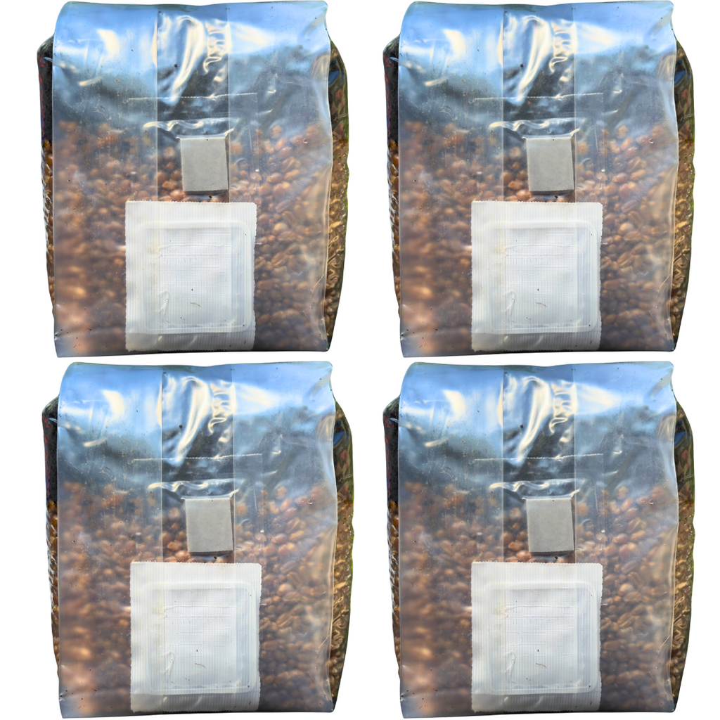 Mushroom Grow Kit - 4 Pack - All In One Mushroom Grow Bags Mushroom Spawn Store