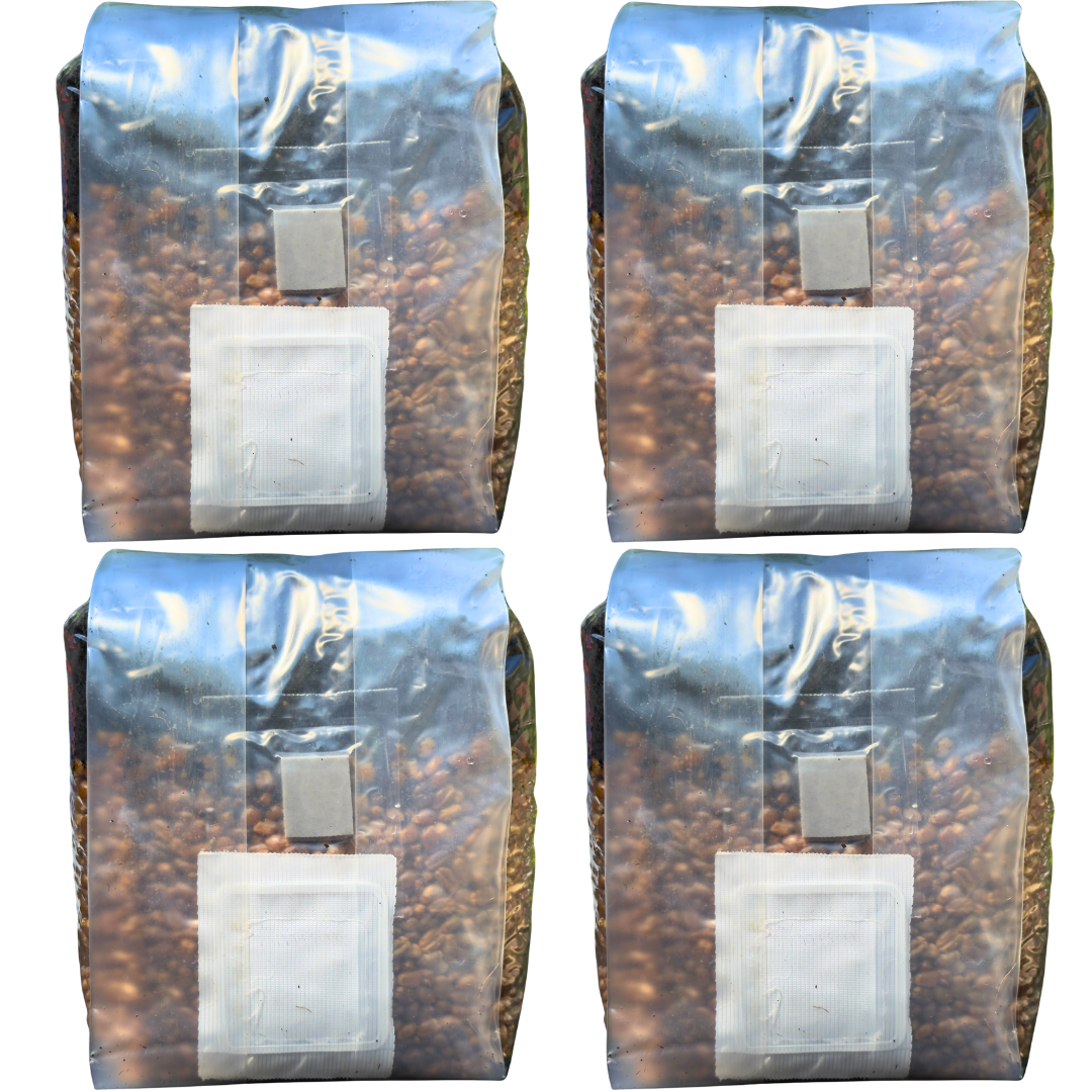 Mushroom Grow Kit - 4 Pack - All In One Mushroom Grow Bags Mushroom Spawn Store