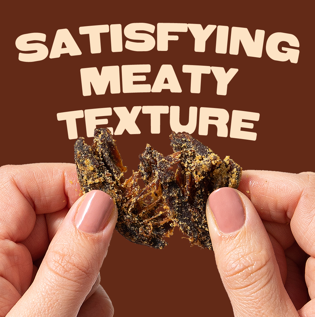 Pan's Mushroom Jerky - The Ultimate Flavor Pack Pan's Mushroom Jerky
