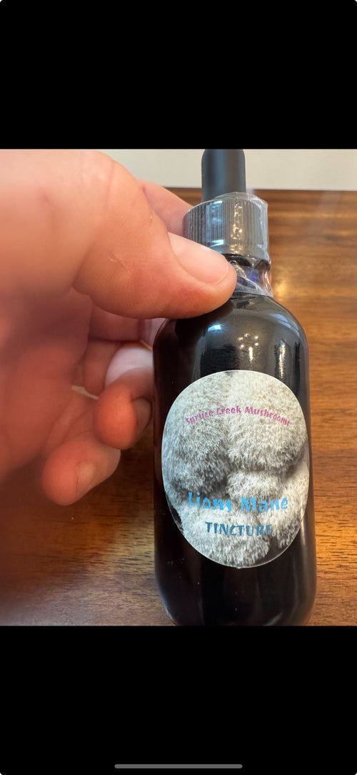 Lion’s Mane Dual Extraction Tincture – Premium Quality