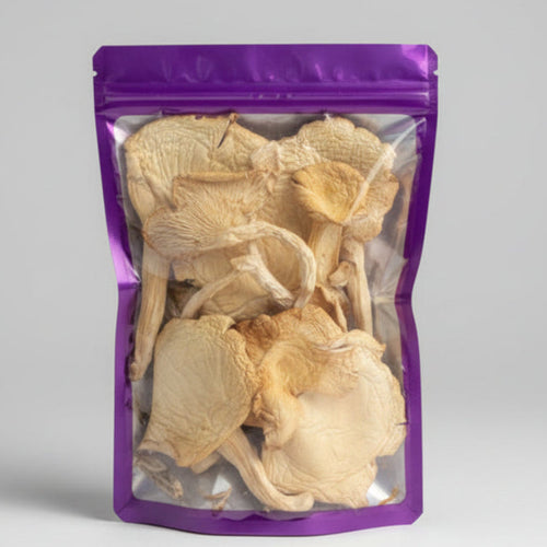 Dried Super Scallop Oyster Mushrooms