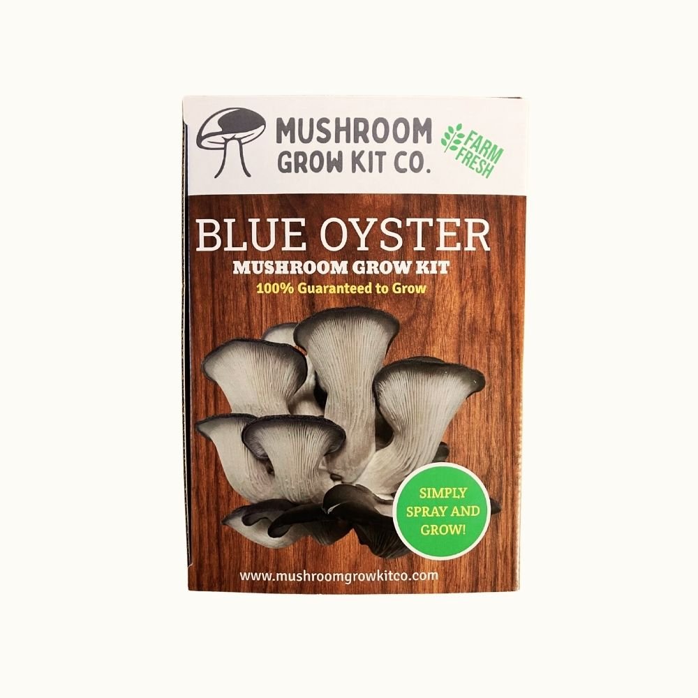 Blue Oyster Mushroom Growing Kit - 5 LBS Spray and Grow Mushroom Grow Kit Co.