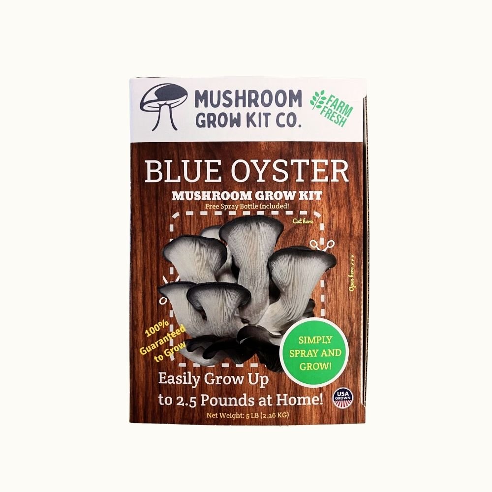 Blue Oyster Mushroom Growing Kit - 5 LBS Spray and Grow Mushroom Grow Kit Co.