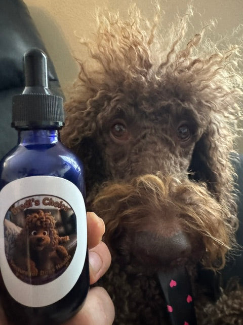 Dog Mushroom Tincture – Reishi & Turkey Tail Spruce Creek Mushrooms