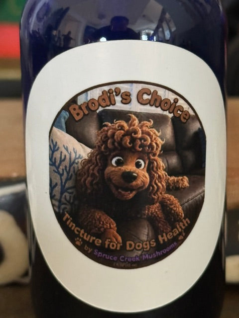 Dog Mushroom Tincture – Reishi & Turkey Tail Spruce Creek Mushrooms
