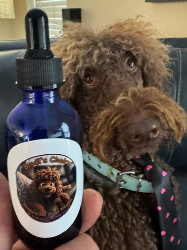 Dog Mushroom Tincture – Reishi & Turkey Tail Spruce Creek Mushrooms