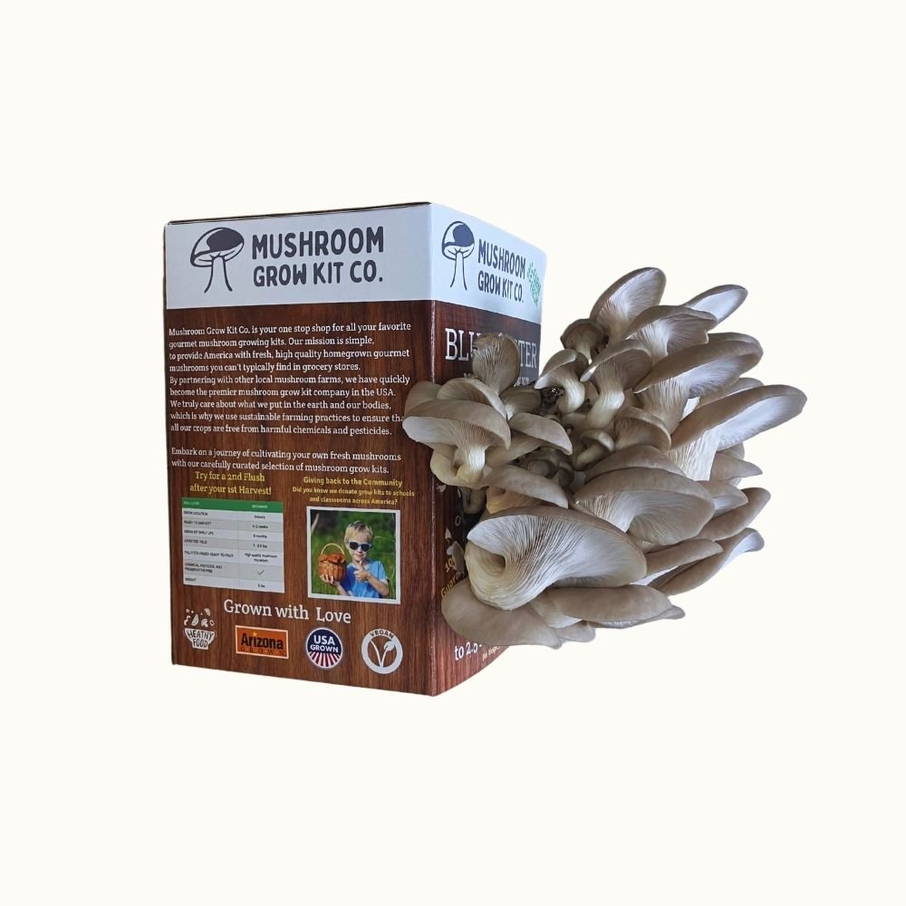 Blue Oyster Mushroom Growing Kit - 5 LBS Spray and Grow Mushroom Grow Kit Co.